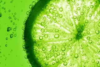 Lime Slice Water Bubbles Wall Mural