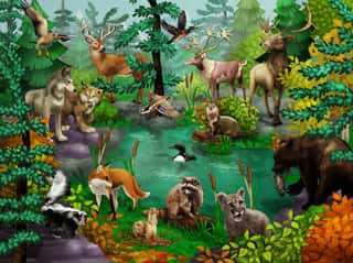 Woodland Creatures Wall Mural