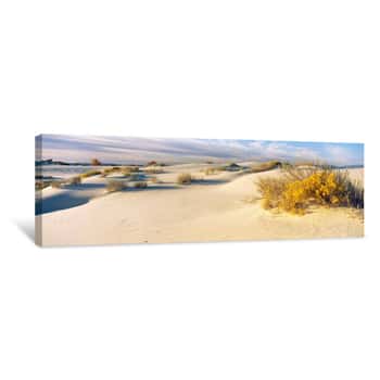 Image of Desert Plants In A Desert, White Sands National Monument, New Mexico, USA Canvas Print