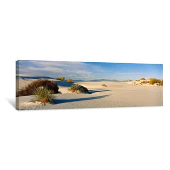 Image of Desert Plants In A Desert, White Sands National Monument, New Mexico, USA - Canvas Print