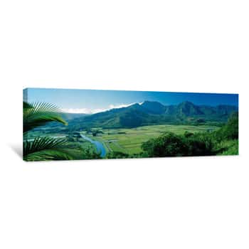 Image of High Angle View Of Taro Fields, Hanalei Valley, Kauai, Hawaii, USA Canvas Print