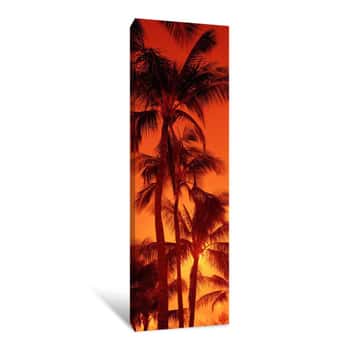 Image of Low Angle View Of Palm Trees At Dusk, Kalapaki Beach, Kauai, Hawaii, USA Canvas Print