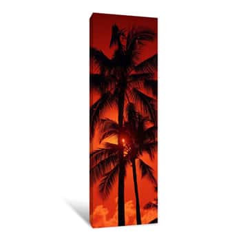 Image of Low Angle View Of Palm Trees At Dusk, Kalapaki Beach, Kauai, Hawaii, USA - Canvas Print