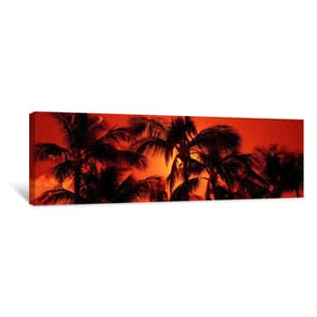 Image of Low Angle View Of Palm Trees At Dusk, Kalapaki Beach, Kauai, Hawaii Canvas Print