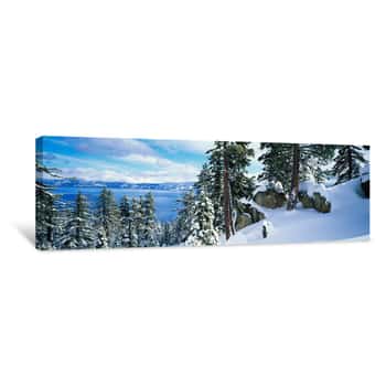 Image of Snow Covered Trees On Mountainside, Lake Tahoe, Nevada, USA Canvas Print