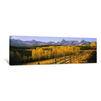 Image of Trees In A Field Near A Wooden Fence, Dallas Divide, San Juan Mountains, Colorado, USA Canvas Print