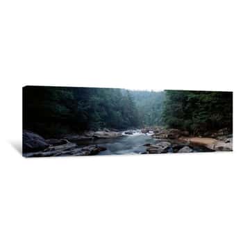 Image of River Flowing Through A Forest, Chattooga River, Georgia Near South Carolina, USA Canvas Print