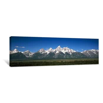 Image of Trees In A Forest With Mountains In The Background, Teton Point Turnout, Teton Range, Grand Teton National Park, Wyoming, USA Canvas Print