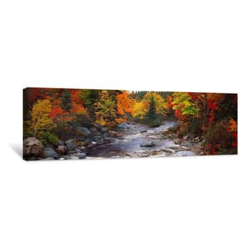 Image of Stream With Trees In A Forest In Autumn, Nova Scotia, Canada Canvas Print