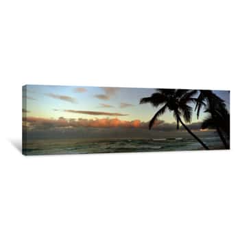 Image of Palm Trees On The Beach, Hawaii, USA Canvas Print