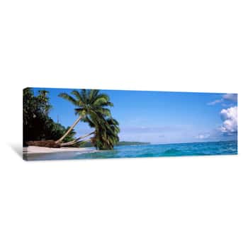 Image of Palm Trees On The Beach, Indonesia Canvas Print