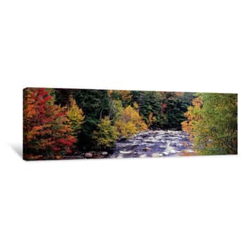 Image of River Flowing Through A Forest, Ausable River, Adirondack Mountains, Wilmington, Essex County, New York State, USA Canvas Print
