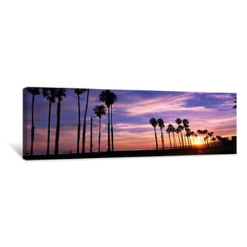 Image of Silhouette Of Palm Trees At Sunset, Santa Barbara, California, USA Canvas Print