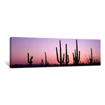 Image of Silhouette Of Saguaro Cacti On A Landscape, Saguaro National Park, Tucson, Pima County, Arizona, USA Canvas Print