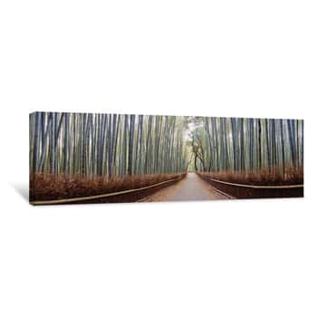 Image of Bamboo Trees In A Forest, Arashiyama, Kyoto Prefecture, Japan Canvas Print