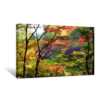 Image of Trees In A Garden, Butchart Gardens, Victoria, Vancouver Island, British Columbia, Canada Canvas Print