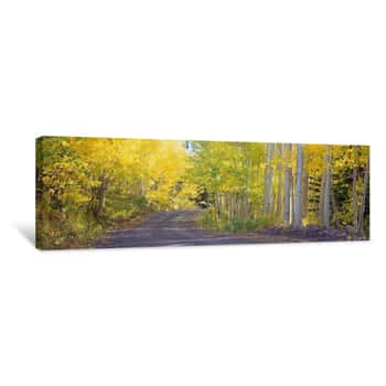 Image of USA, Colorado, Telluride, Road, Autumn Canvas Print