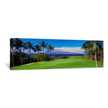 Image of Palm Trees In A Golf Course, Wailea Emerald Course, Maui, Hawaii, USA Canvas Print