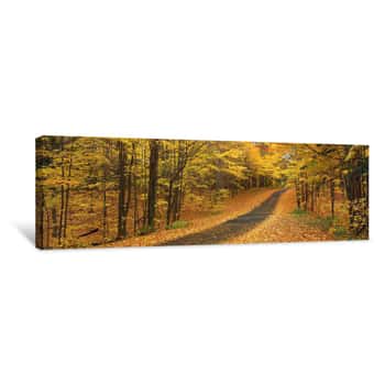 Image of Autumn Road, Emery Park, New York State, USA Canvas Print