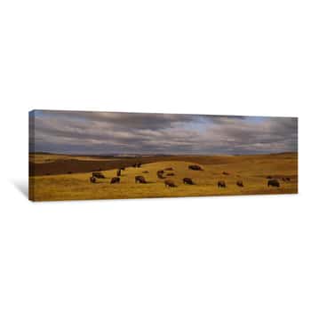 Image of High Angle View Of Buffaloes Grazing On A Landscape, North Dakota, USA Canvas Print