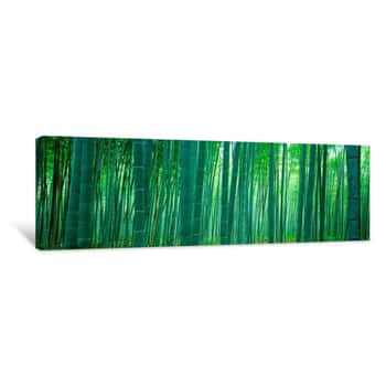 Image of Bamboo Forest, Sagano, Kyoto, Japan Canvas Print