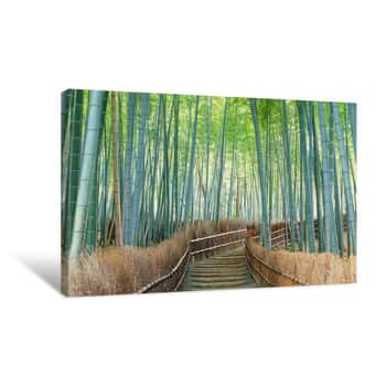 Image of Bamboo Forest, Kyoto City, Kyoto Prefecture, Japan Canvas Print
