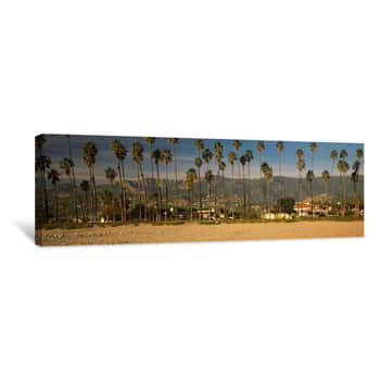 Image of Palm Trees On The Beach, Santa Barbara, California, USA Canvas Print