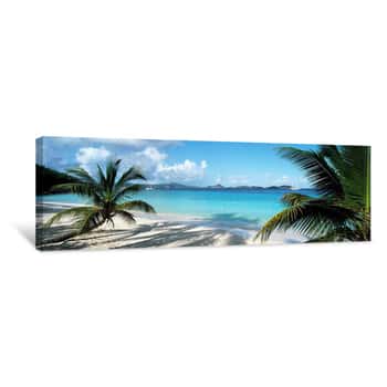 Image of Palm Trees On The Beach, US Virgin Islands, USA Canvas Print