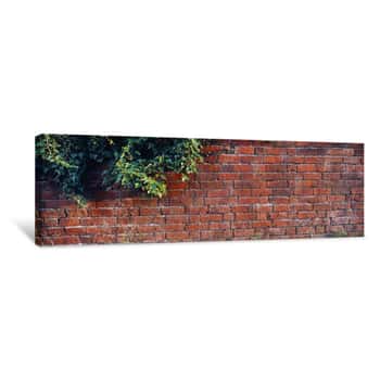 Image of Close-up Of A Brick Wall With Ivy, England Canvas Print