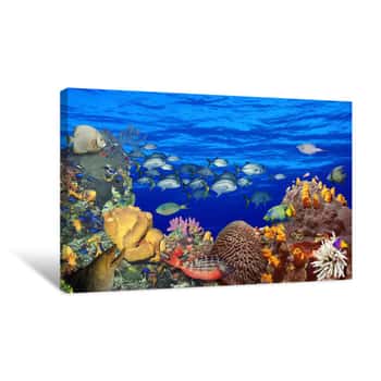 Image of School Of Fish Swimming Near A Reef Canvas Print