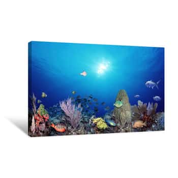 Image of School Of Fish Swimming In The Sea Canvas Print