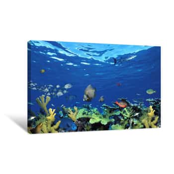 Image of School Of Fish Swimming In The Sea, Digital Composite Canvas Print