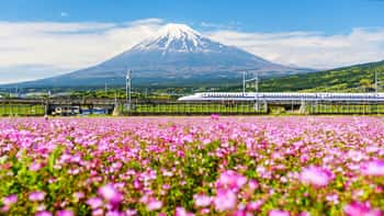 Image of Shinkanzen Run Pass Mt  Fuji Canvas Print