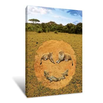 Image of A Lion\'s Happiness Canvas Print