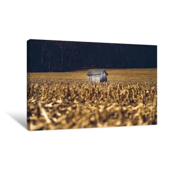 Image of Wooden Shed in the Hay Canvas Print
