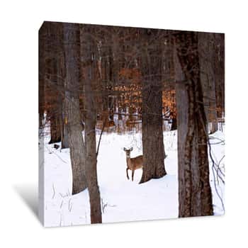 Image of Deer Standing in the Snow Canvas Print