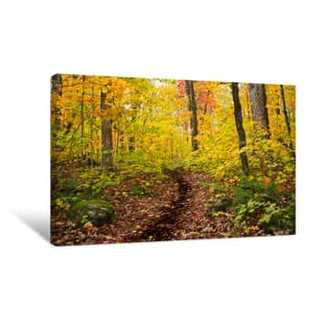 Image of Autumn Trail Canvas Print