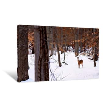 Image of Deer Standing in the Snow Wide Angle Canvas Print