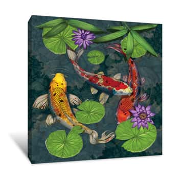 Image of Koi Fish in Shallow Pond Canvas Print