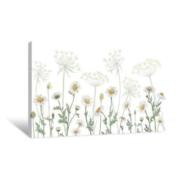 Image of Dazzling Daisies Canvas Print