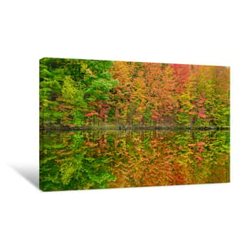 Image of Fall Reflections  Canvas Print