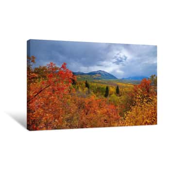 Image of Autumn at Kebler Pass Canvas Print