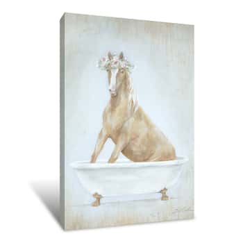 Image of Horse in Bathtub Canvas Print