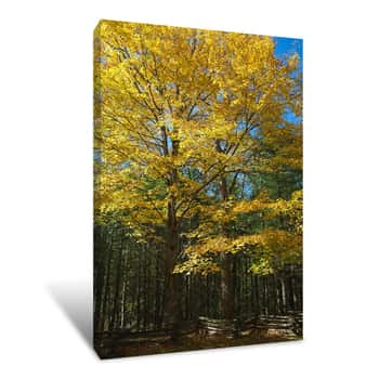 Image of Gold Standard Canvas Print