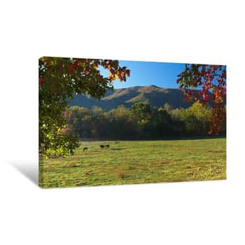 Image of Horses in the Valley Canvas Print