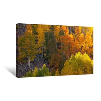 Image of Autumn Highlights Canvas Print