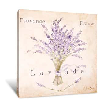 Image of Lavender Provance Canvas Print