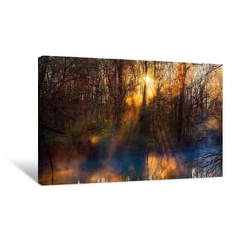Image of Sunrise in a Misty Forest 1 Canvas Print