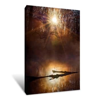 Image of Sunrise in a Misty Forest 2 Canvas Print