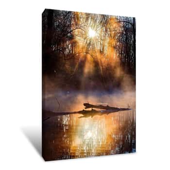 Image of Sunrise in a Misty Forest 3 Canvas Print